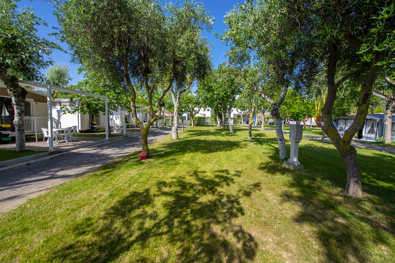 piazzole-gialle-surabaja-10