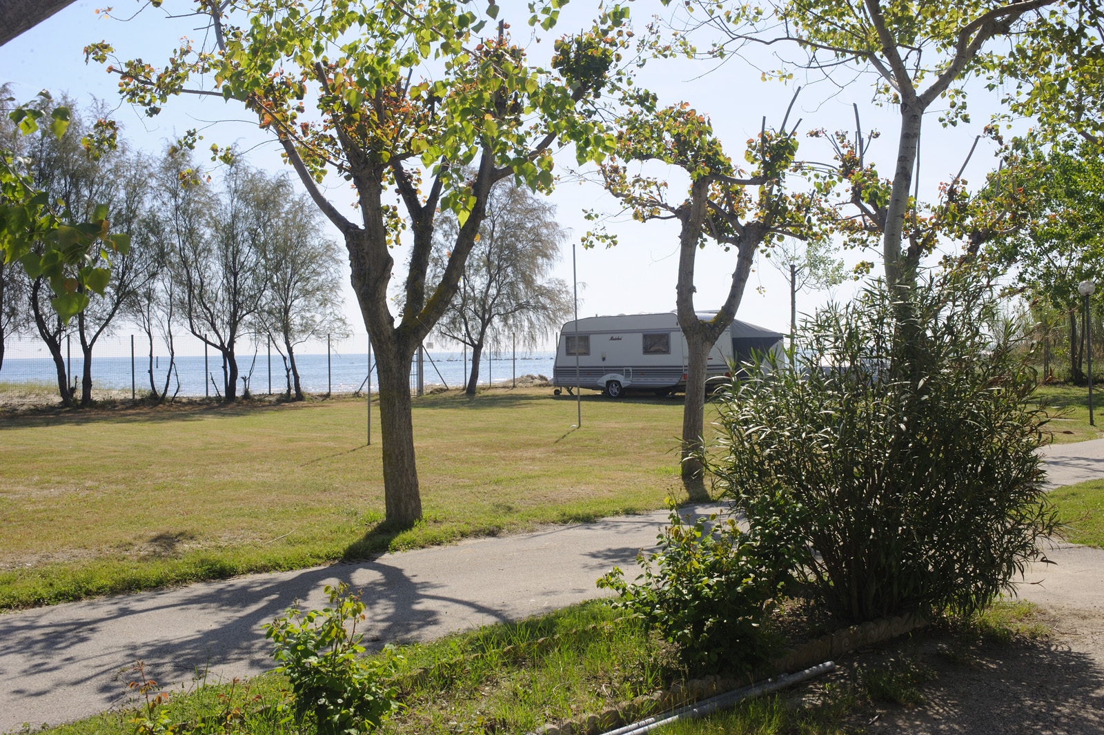 piazzole-oro-surabaja-2