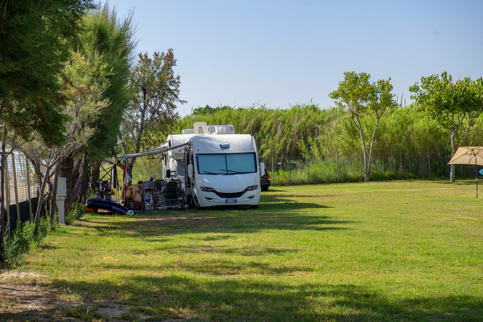piazzole-oro-surabaja-5